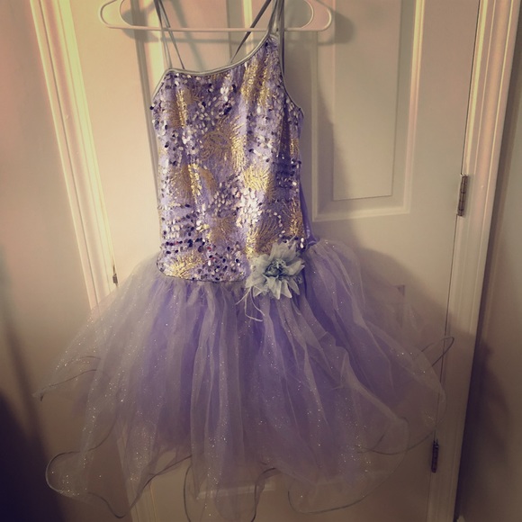 Other - Gorgeous Purple Ballet Dance Costume